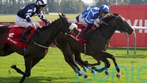 Sky Majesty to lead Haggas’ dual Abbaye challenge