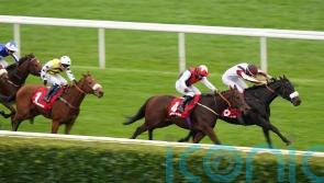 Copper Knight &lsquo;in grand form&rsquo; ahead of his own race