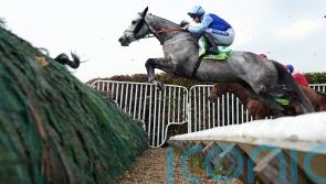 Resplendent Grey ready to make Carlisle return