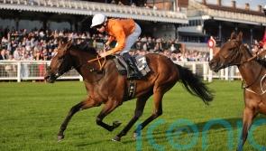 Prix Royal-Oak the next stop for Caballo De Mar