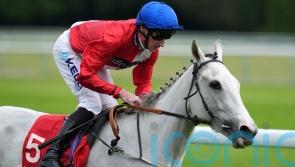 Estrange seeking Ascot compensation after missing Arc date