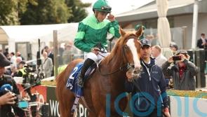 Benvenuto Cellini headlines 13 confirmations for Futurity Trophy