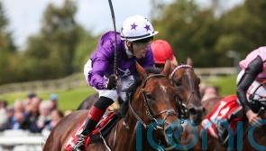 Murray preparing to unleash classy Breeders’ Cup pair