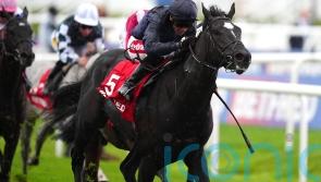Saint-Cloud prizes could put O’Brien on verge of new record