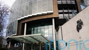 Man charged over alleged assault on Catherine Connolly canvasser