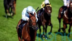 Amiloc to spearhead Beckett’s Breeders’ Cup challenge