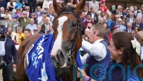 O’Brien touches down at Del Mar to oversee Breeders’ Cup squad