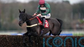 Handstands all set to start off at Carlisle on Sunday