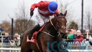 Envoi Allen bidding for third win in Down Royal feature