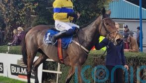 Spindleberry makes it four from four over fences