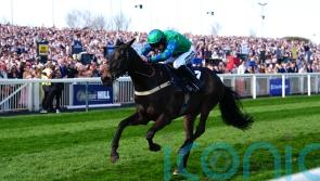 Julius Des Pictons will have to wait for novice chasing campaign