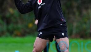 &lsquo;Fast and explosive&rsquo; Louis Rees-Zammit back in &lsquo;happy place&rsquo; after Wales return