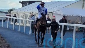Marsh Wren weekend run hinges on Haydock rain
