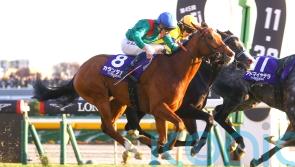 Calandagan the man in Japan