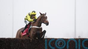 Christmas Hurdle has crossed our minds for Sir Gino, admits Henderson
