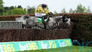 Il Etait Temps facing best of British at Sandown