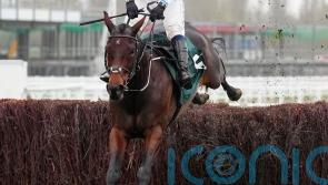 July Flower aiming to bloom at Leopardstown