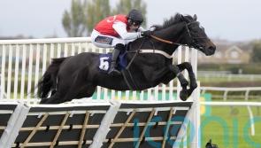 Nicol to continue Study’s education at Cheltenham