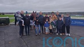Oh My Word! Big winner for Tom Cleary in Navan feature