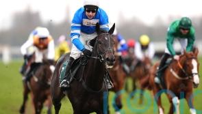 Skelton convinced Kadastral will make his name over fences