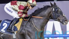 Heart Of Honor rises to the mark at Meydan