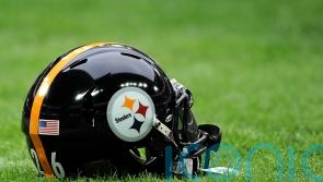 Pittsburgh Steelers wide receiver DK Metcalf appears to throw punch at fan