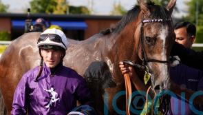 Rowan Scott joins Amo Racing team