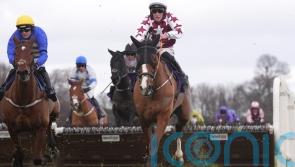 El Cairos makes Supreme impression despite Leopardstown mishap