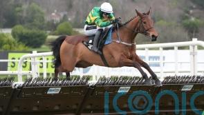 Narciso Has smart look to him at Leopardstown