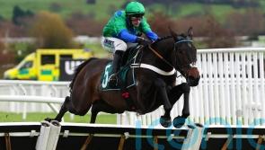 Henderson will further test Old Park Star&rsquo;s two-mile potential