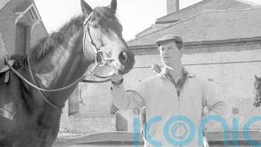 Mill Reef leads the way among Balding&rsquo;s star performers
