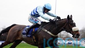 Gustavian bidding to give Honeyball another big prize