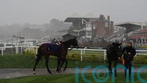 Warwick could beat the weather to give racing a welcome weekend boost