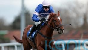 High praise for Precious Man after Kempton triumph