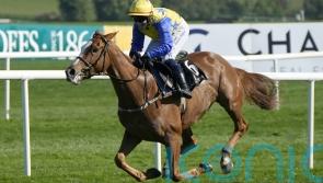 Bambino Fever aiming to regain winning thread