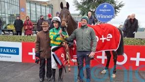 Proactif puts forward Triumph case with smooth Irish debut