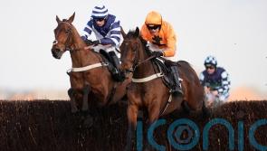 Saint Segal likely to test Game Spirit waters at Newbury