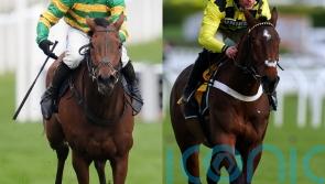 Sir Gino and The New Lion set for Cheltenham clash