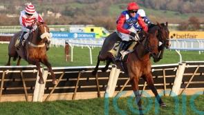 Lavelle hopes Ma Shantou can follow in Paisley Park&rsquo;s footsteps