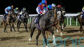 Aisling Oscar makes history with eighth successive handicap win