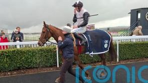 Highland Crystal remains unbeaten at Naas