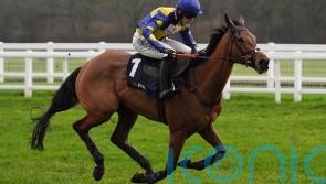 Tutti Quanti looks a class above and has Nicholls dreaming big