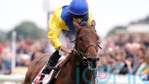 Marmelo thriving in life after racing