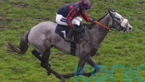 Dawson likely to resist Cheltenham with A Likeable Rogue