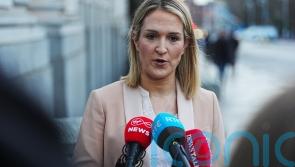 Government aware of &lsquo;very small number&rsquo; of Irish nationals detained by Ice in US