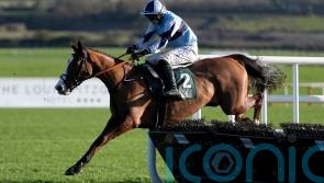Cheltenham options open for Feet Of A Dancer