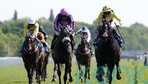 Major York sprint to be renamed Minster Stakes