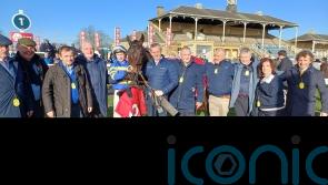 Nolan keen to avoid Doctor Steinberg in Albert Bartlett