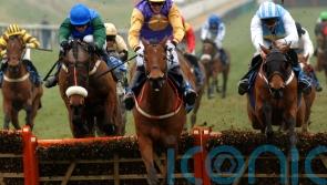 The bravest of the Brave &ndash; 20 years since Inca&rsquo;s Champion Hurdle triumph
