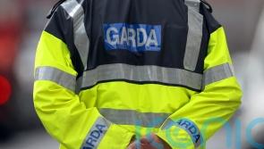 Fraud jumped in 2025 even as number of major crimes fell &ndash; gardai